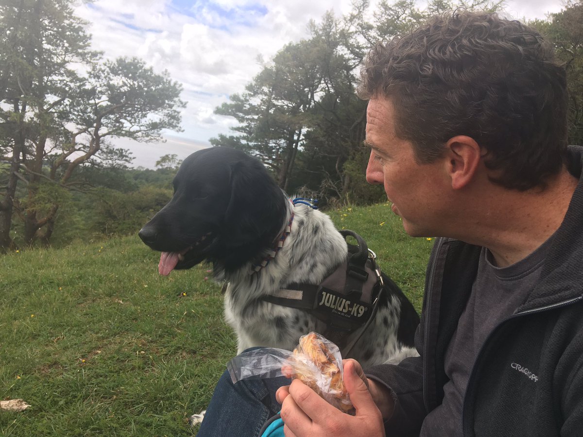ZStabyhoun's tweet photo. What d’ya mean none of that scone is for me?!? Humph 😤😤😤 https://t.co/UVEhjw81Nm
