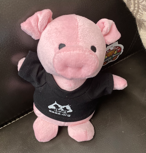 CritterChatter's tweet photo. Which is the real pig? #AnimalScienceAnnual, #ASAS, #CSAS, #Virtualanimalscience2020 https://t.co/8bD99SJz5J