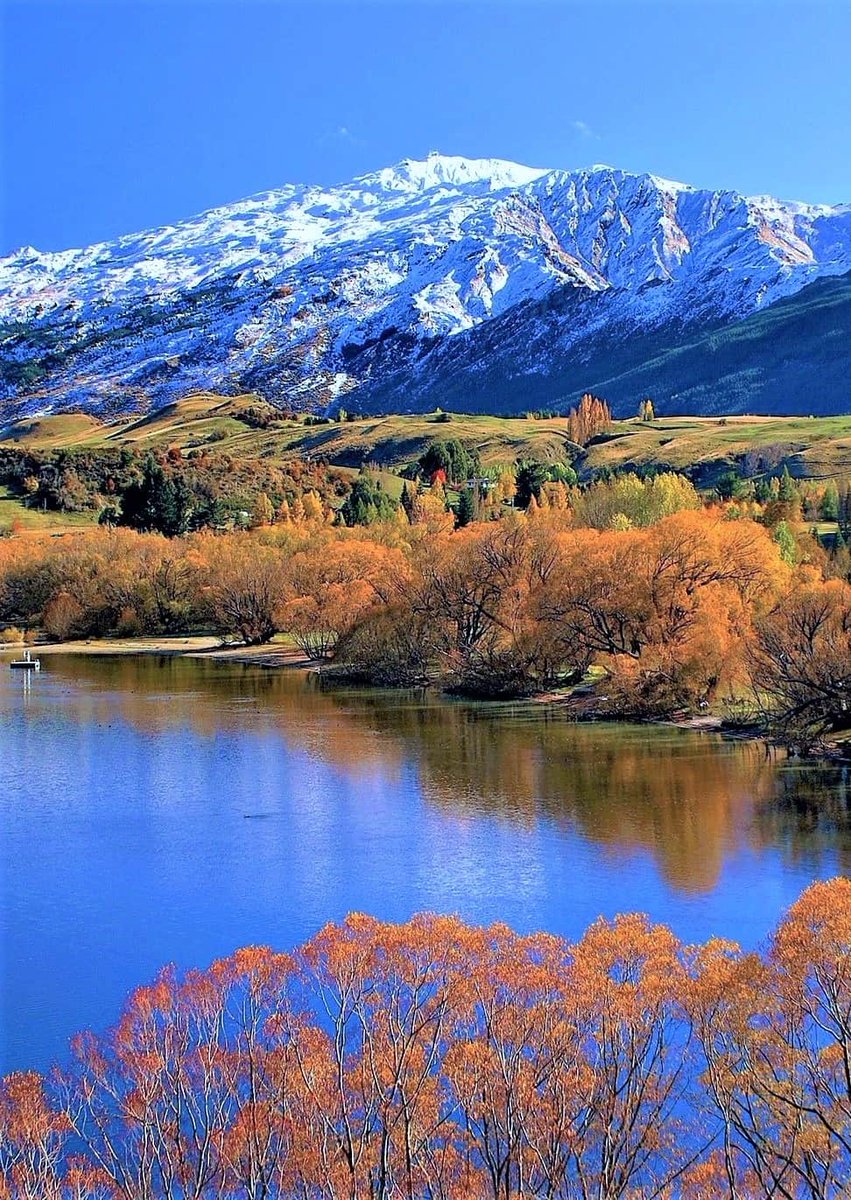 must_travel's tweet photo. Lake Hayes, New Zealand. #travel #musttravel https://t.co/15vK1I6f3J