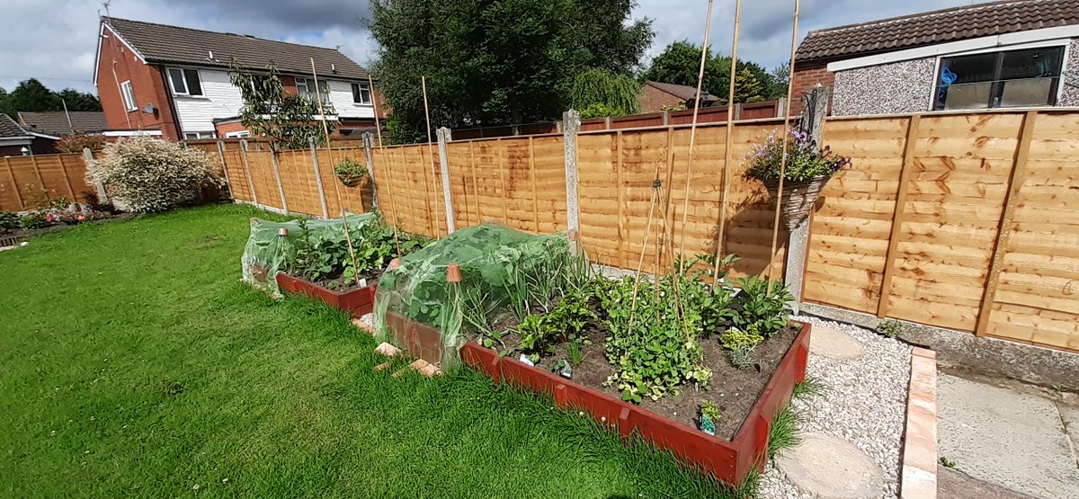 Have you acquired a lockdown hobby? Haze has transformed her garden furniture, Dee is now a sushi chef and Em is obsessed with growing veggies. Please note becoming a professional gin drinker counts as a hobby 🍸