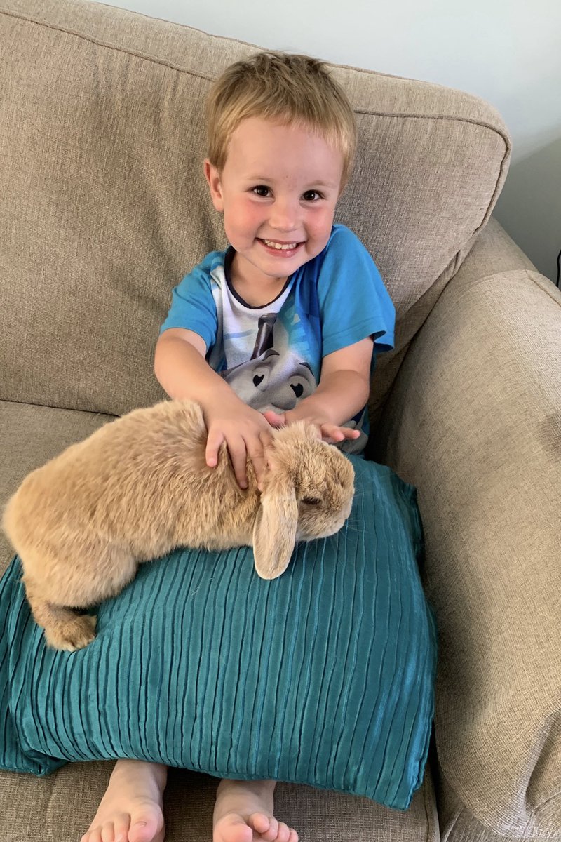 MrsMearkle's tweet photo. Loving our visit from the school well-being bunnies @Headshipjourney @WeAreCumnor #learningresponsibility https://t.co/Yna3ItwpCX