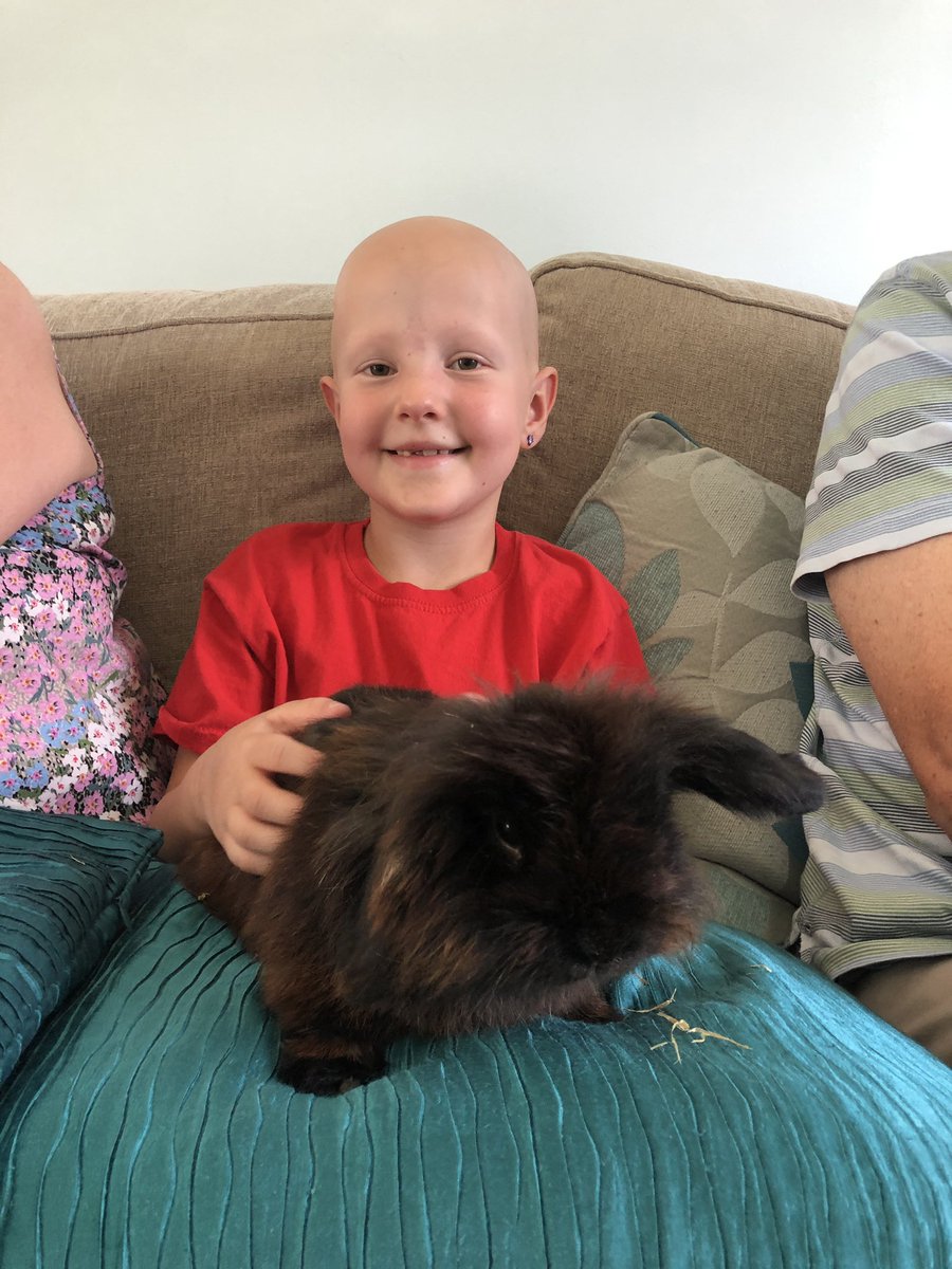 MrsMearkle's tweet photo. Loving our visit from the school well-being bunnies @Headshipjourney @WeAreCumnor #learningresponsibility https://t.co/Yna3ItwpCX