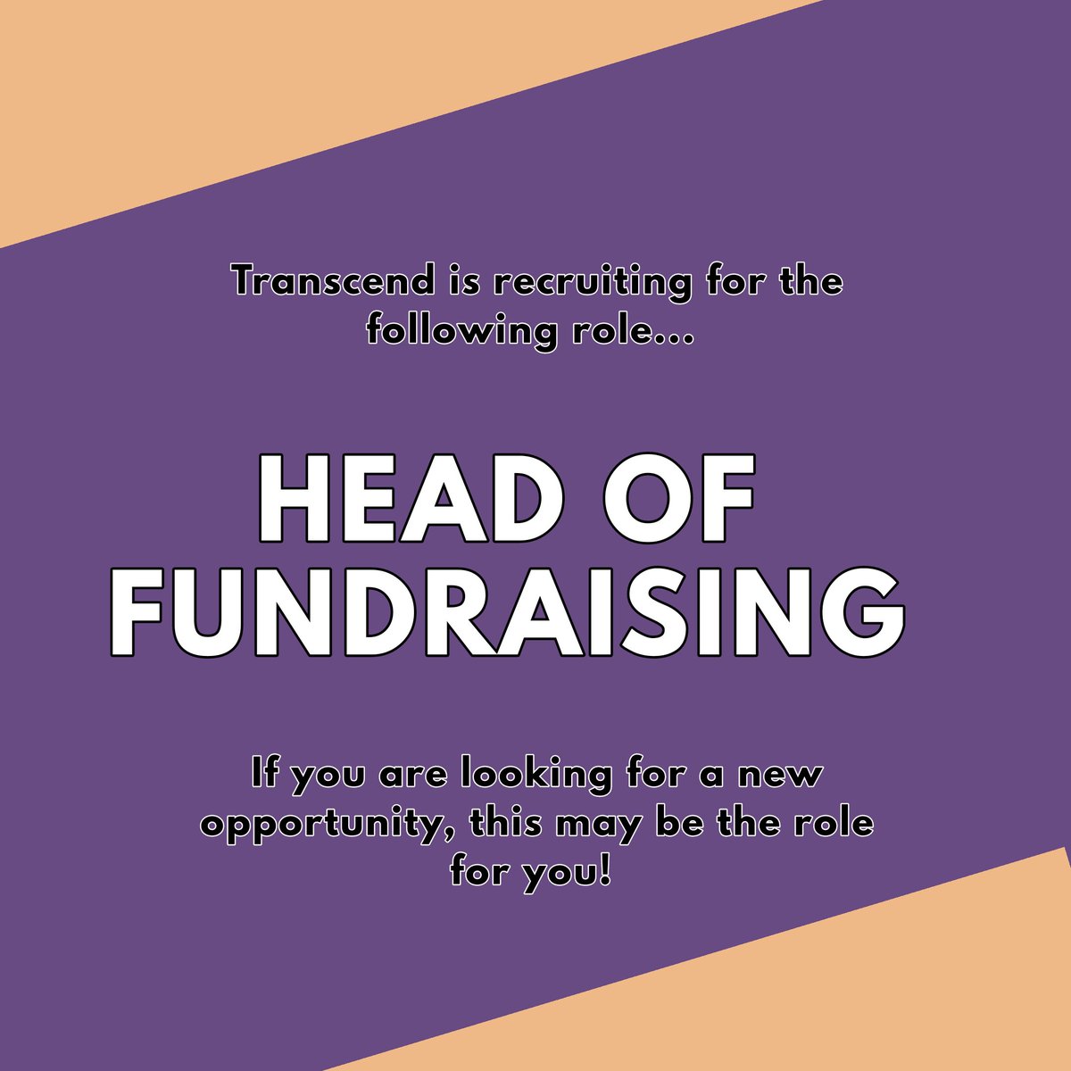 Transcendmvt's tweet photo. We are also recruiting for Head of Fundraising 🗣🗣🗣🗣

If you are looking for a new challenge or know someone who relates to this role, send over yours/their CV and covering letter to transcendthemovement@gmail.com. https://t.co/MYiAD6e4fU