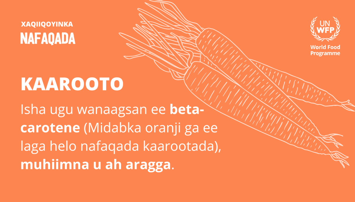 WFPSomalia's tweet photo. .🥕🥕🥕an excellent source of beta-carotene, an essential vitamin for vision  🙆🏿🙆🏿‍♂️ https://t.co/dI42OsbdTw