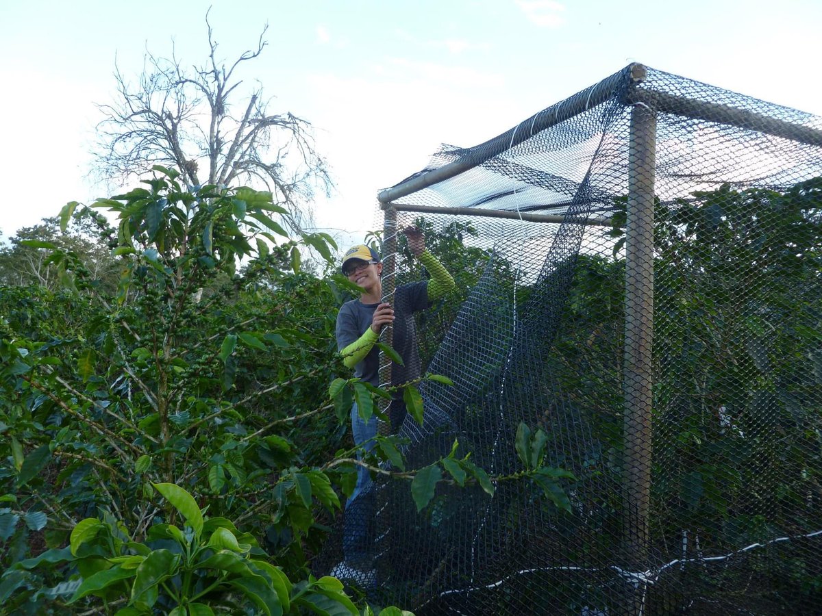 I am proud to be Nicaraguan and to have the opportunity to work in science and conservation. It hasn’t always been easy but it’s possible. Hopefully more Latino girls can see themselves working in and for conservation, let’s strive for that! #LatinoConservationWeek #LCW2020