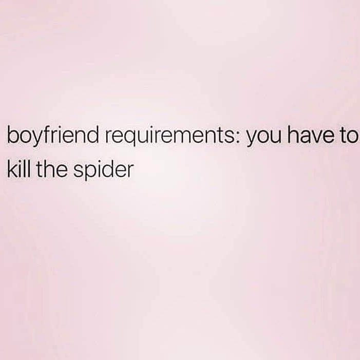 My_Adorable_Ash's tweet photo. 🤷🏽‍♀️ https://t.co/pomStbeE4r