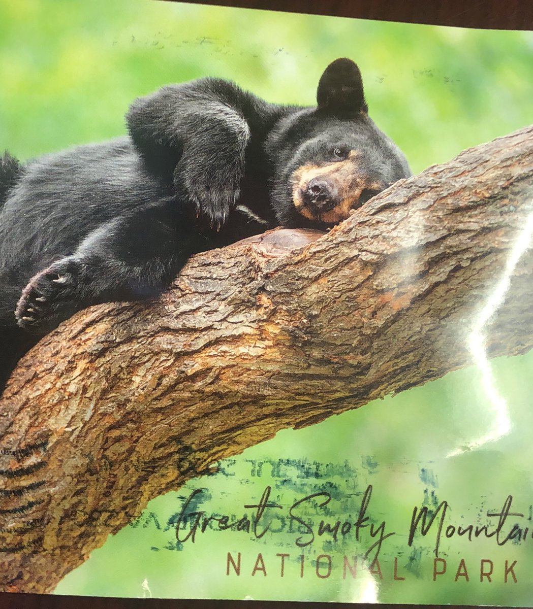 wresWildcats's tweet photo. Donβt forget to send us postcards from all the neat places you are visiting! #WESsummerFUN π« https://t.co/9jzuz8zUOJ