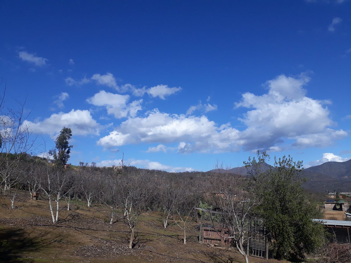 sebaztian's tweet photo. #nubes #curacavi #Samsung #j7prime https://t.co/Qi11roKTtF
