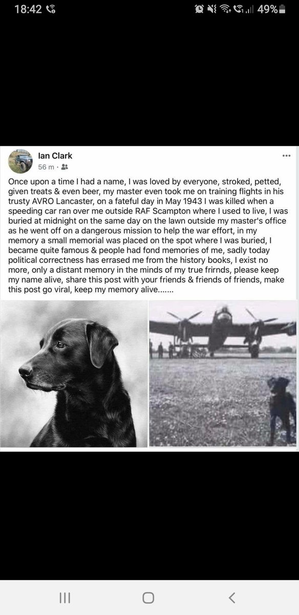 This is fukin bollox,all gone to far now, fukin country