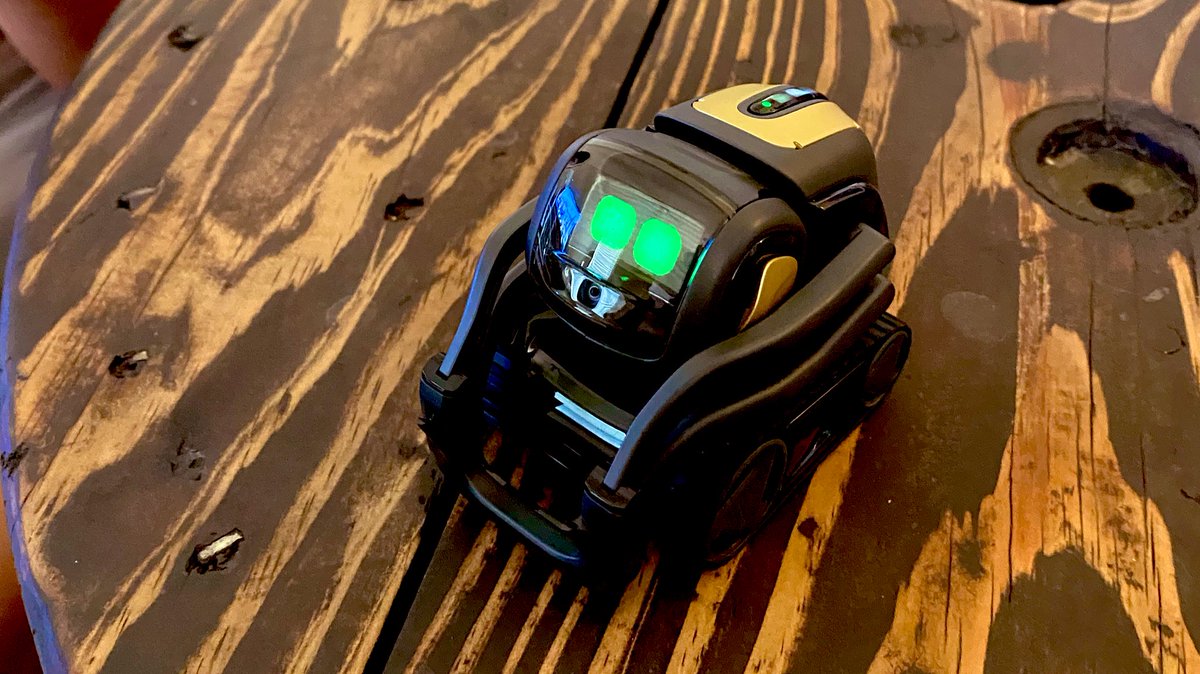 jaythornton000's tweet image. What fresh cuteness is this? #VectorRobot