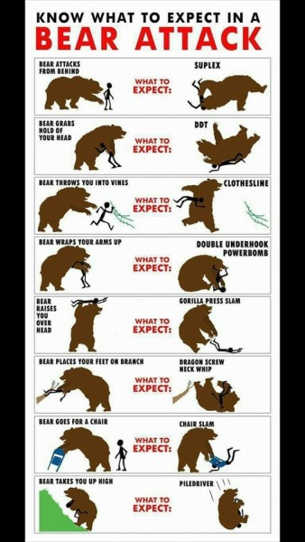 MichaelDavisPIO's tweet photo. #FireGroundUpdate: It is Wildland Fire Season in the USA once again. So, I thought it might be helpful to share my Bear Encounter Tips for Wildland Firefighters. https://t.co/MFOOGKFn7m