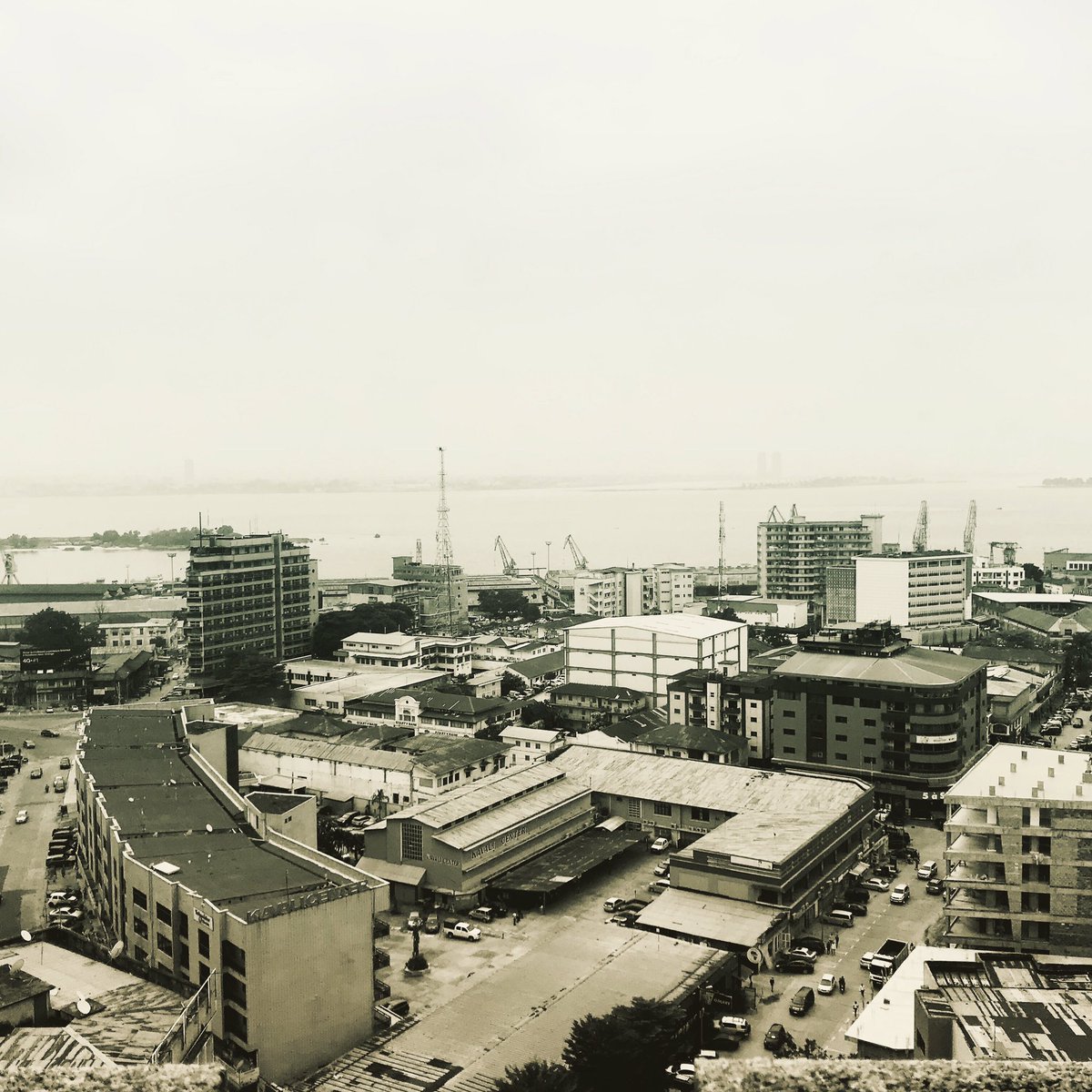 Christoph N. Vogel tweet media