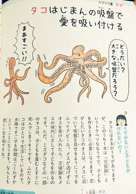 タコの求愛、腕振って吸盤を見せてアピールするんだと…
かわいいね…? 