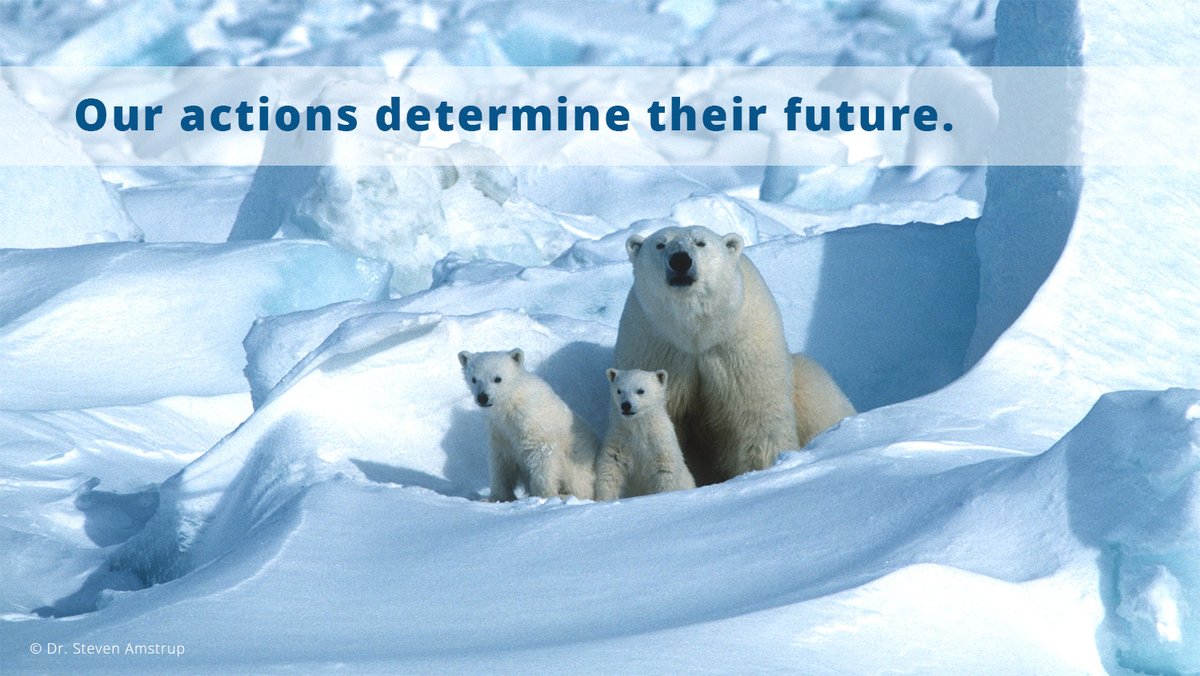 PolarBears's tweet photo. In a report published today in @nresearchnews, chief scientist Dr. Steven Amstrup &amp; colleagues calculate “timelines of risk” for  polar bear populations, exploring 2 alternative futures based on different levels of greenhouse gases.

https://t.co/NW2vf3QbPx #polarbearresearch https://t.co/fu7bpgiHwR