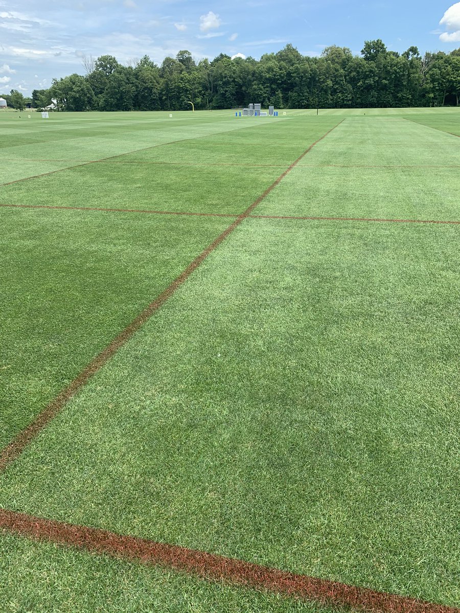 BrandonBreed182's tweet photo. Fields in excellent condition @GrandParkSports laying down grids for mowing patterns with @Turf_Tank robot https://t.co/CcYtmL8uf7