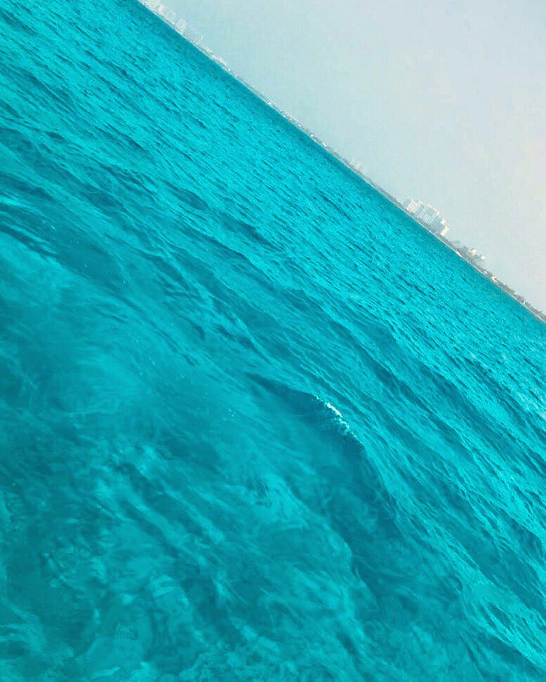 OceanRunnerTour's tweet photo. Happy Monday to everyone ! #Cancun #JungleTour #OceanRunner #snorkel #WaveRunner https://t.co/CwIhTfUmNV