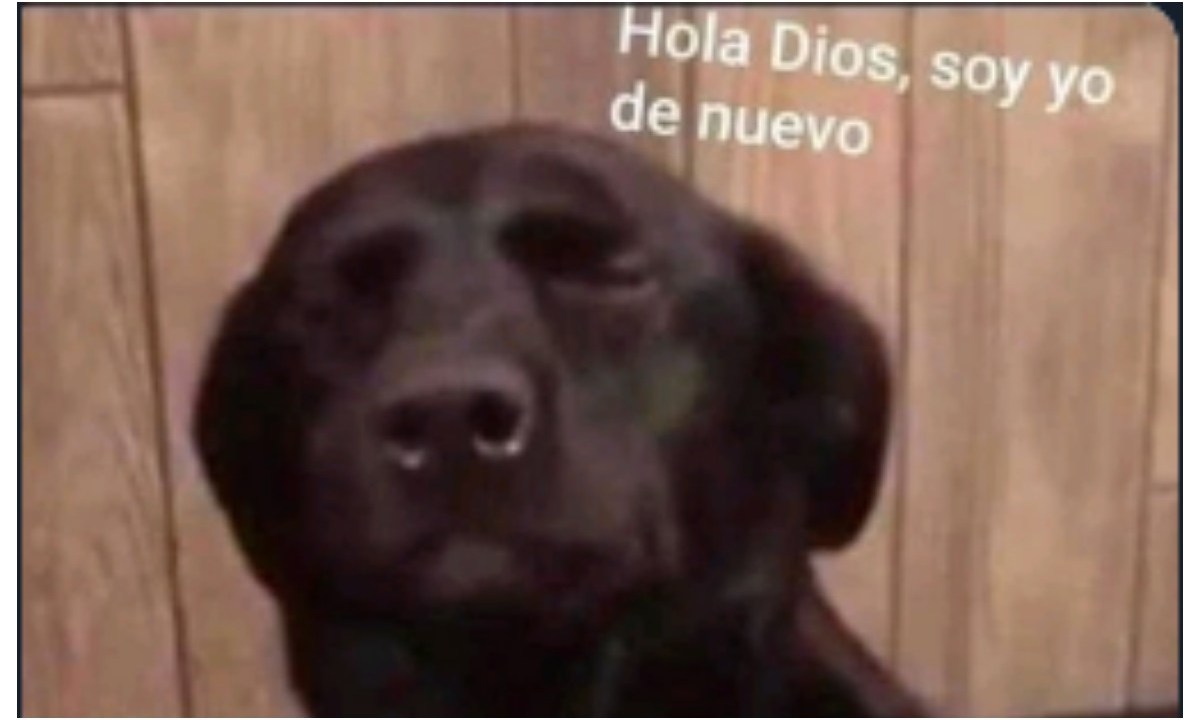 ElvisTeckxD's tweet photo. #LASTDOMINATION
#CUATRODÓLARES
#ESCUELADENADA
#SHOWENSTREAMING
#ELÚLTIMODELAGIRA
#LEOROJAS
#CHRISANDRADE
#NACHOREDONDO
#SÁBADO25DEJULIO
#COMPRATUENTRADAENELLINKDELABIODEEDN https://t.co/Z33wAGqFfc