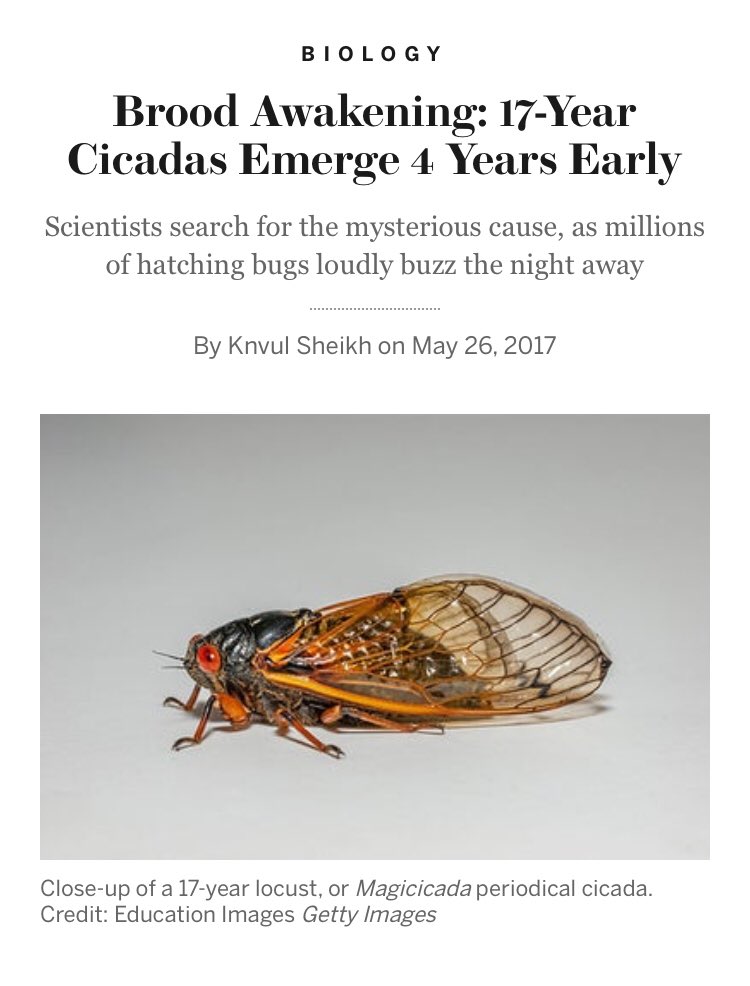 4/ But regardless, we already have 17 (Q) & Locusts/Biblical, & CryptopuzzlesOne last interesting cicada fact before I get to Kim’s great findThere was an early “Brood Awakening” where 17 year Cicadas woke up *4* years earlyWhen?2017