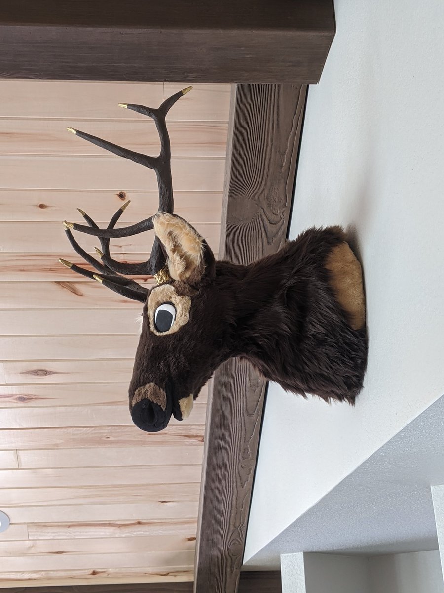 I literally can never seem to remember the fake elk mount I made my parents...