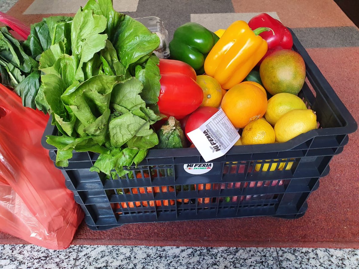 pamestysch's tweet photo. A la puerta de tu casa 🏠
Conoce nuestros productos 🥑🥬🍅🥝🥦🍉🍒🥕
https://t.co/mOPHD4eRxv
Despacho GRATIS con el codigo:
FACEREGALA
➖+56933915774➖

#online #delivery #frutas #verduras #chile #santiago #feria #aseo #frutasyverduras 🍅🥑🍉 https://t.co/hv9Fwx7TZk