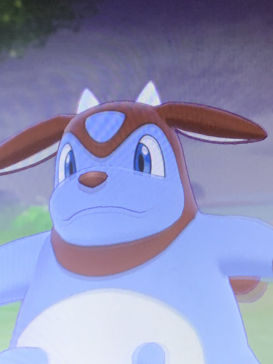 funkygalvantula's tweet photo. NO WAY!!! 1178 RE’S LATER AND WE’RE HAVING BLUEBERRY MILKSHAKE BOIS 😍#shinypokemon #pokemonswordshield #miltank #blueberrymilkshake https://t.co/LXbgtnZl3J