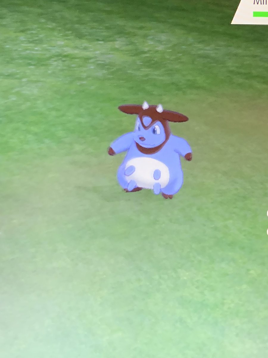 funkygalvantula's tweet photo. NO WAY!!! 1178 RE’S LATER AND WE’RE HAVING BLUEBERRY MILKSHAKE BOIS 😍#shinypokemon #pokemonswordshield #miltank #blueberrymilkshake https://t.co/LXbgtnZl3J
