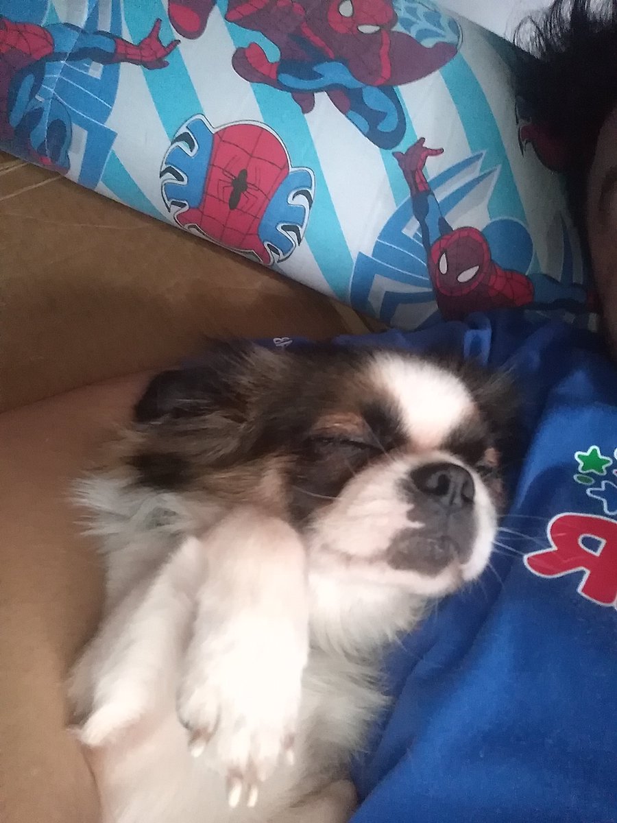 RichardOG23's tweet photo. Schleeep ❤️💞 https://t.co/tMcLhuFba1