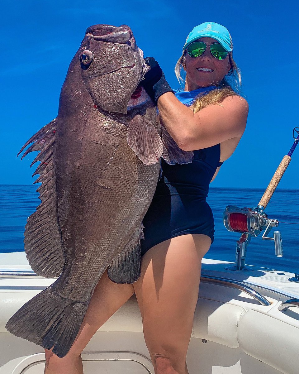 katherinesalom's tweet photo. This fish BLEW my mind!💥 This is a Warsaw grouper and he was around 50lbs and half my size - which I thought was big - but they can get hundreds of pounds bigger😱 https://t.co/pzfjprrK5F