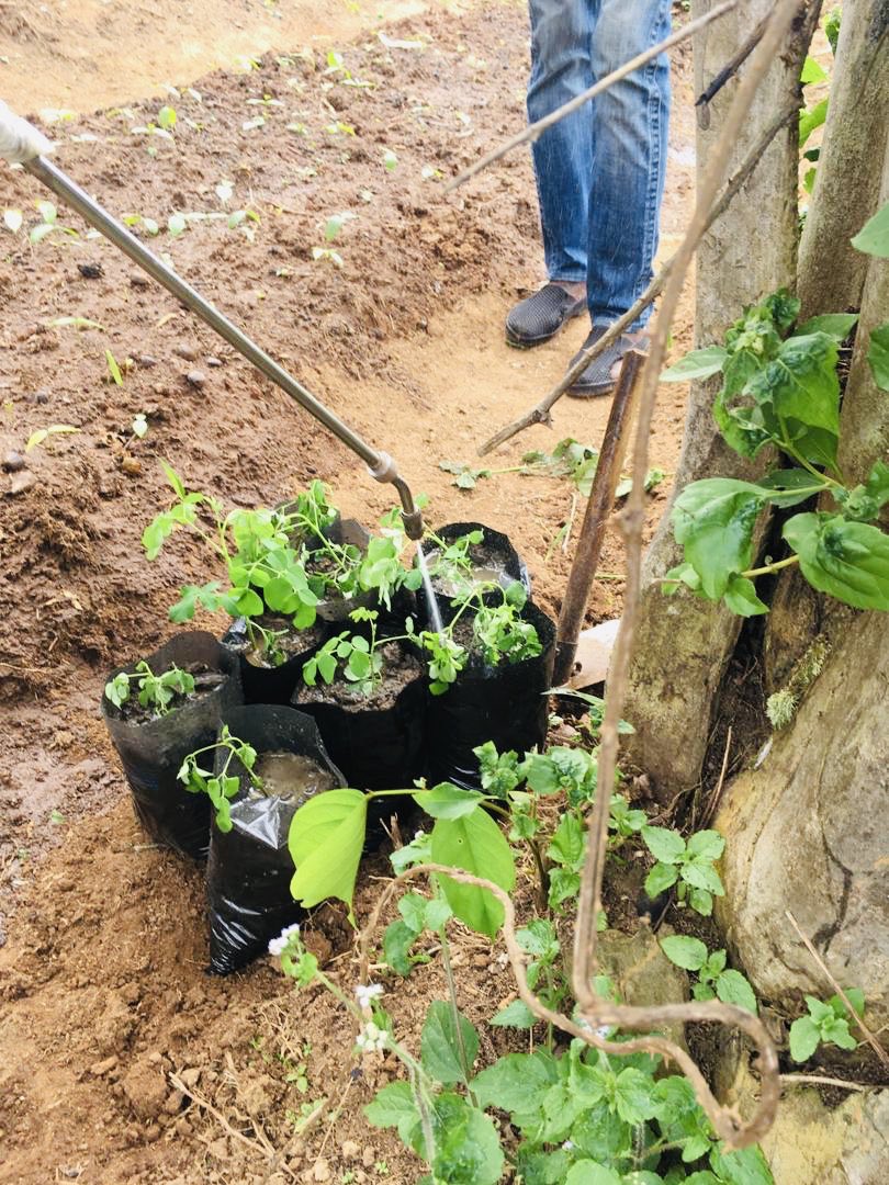 CUNCRthinktank's tweet photo. 📣Our incredible partners &amp; #climateambassadors in #Cameroon have just entered #phase2 of the #carbonoffset project in Elkali village! They are bringing over 10,000 trees to maturity while empowering local activists. 🌳Please support us: https://t.co/gorpriDpA3

#NBS #ycas #CUNCR https://t.co/TEC0QvhqOg