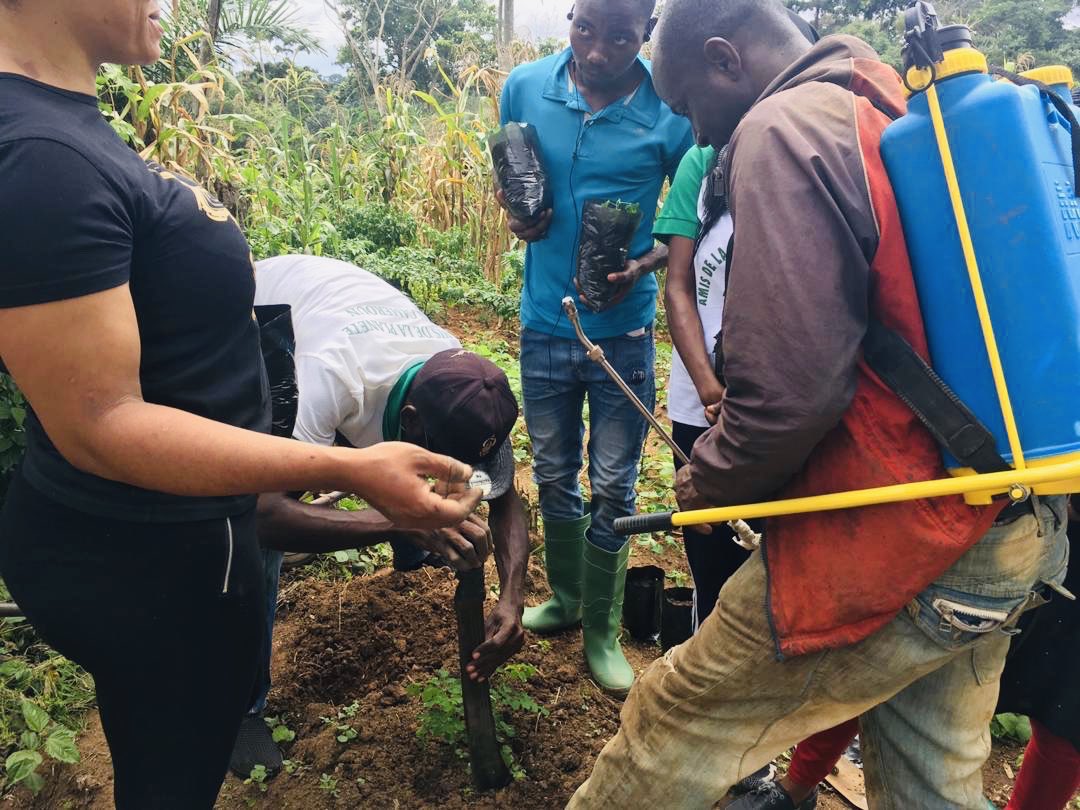 CUNCRthinktank's tweet photo. 📣Our incredible partners &amp; #climateambassadors in #Cameroon have just entered #phase2 of the #carbonoffset project in Elkali village! They are bringing over 10,000 trees to maturity while empowering local activists. 🌳Please support us: https://t.co/gorpriDpA3

#NBS #ycas #CUNCR https://t.co/TEC0QvhqOg