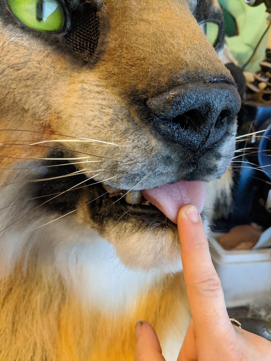 The Razzle to his Dazzle tweet media