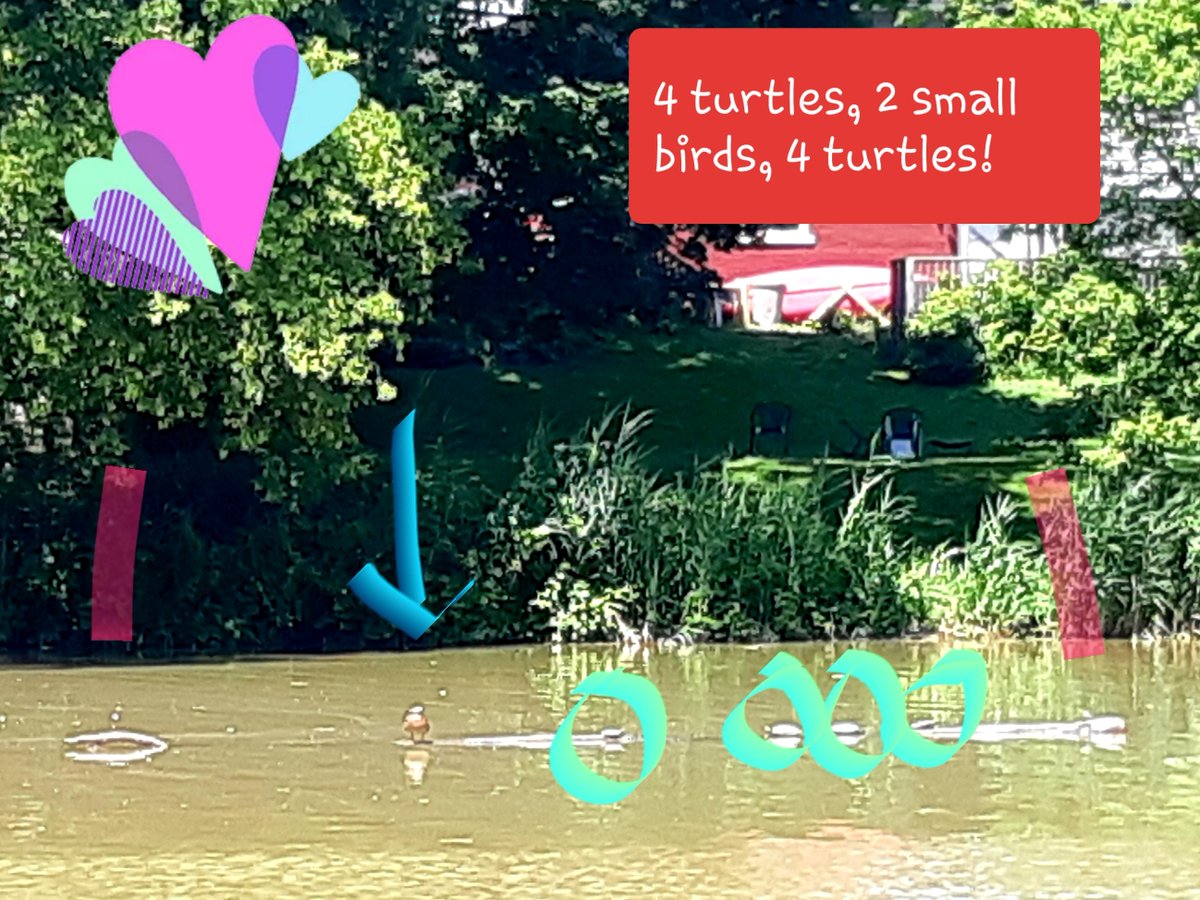 myla_anderson's tweet photo. Monday down and this is floating by. #nurturewithnature, #passionplantpowerpurpose, #howhighamI, #lovenature, #beekind, #puffpuffrelaxπ€£π€©ππ https://t.co/ITyQv4kxzi