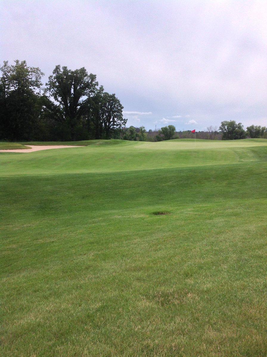 Washington Co Golf tweet media