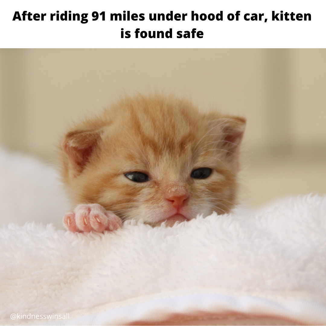 What an incredible story. 
#goodnews #hope #news #goodnews #sharingnews #kindnesswinsall #sharinggoodnews #kindnesswins