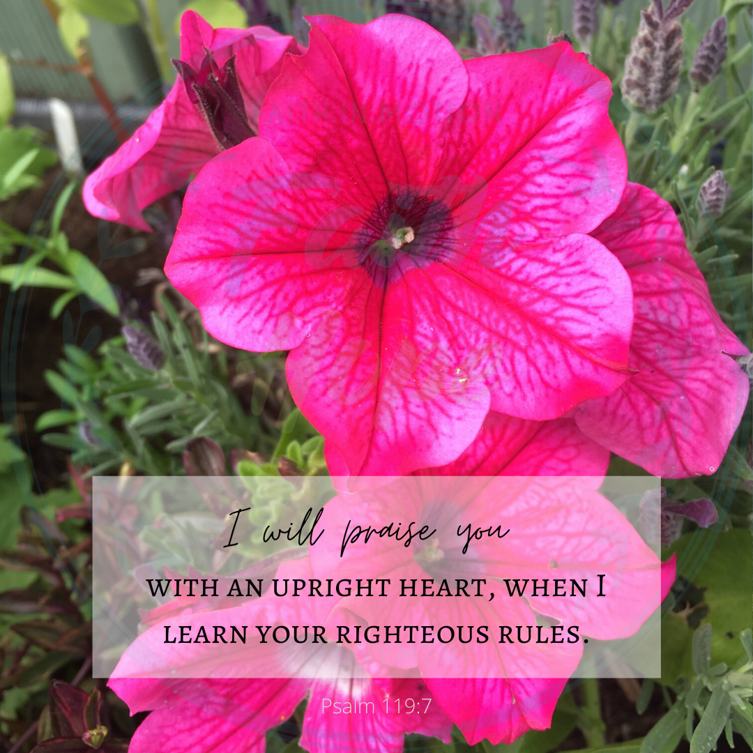 fhlmovementorg's tweet photo. No matter what your circumstance is, praise is always the best answer!
Try it!
#faithhopelove #faithhopelovemovement #faith #hope #love #godisgood #allthetime #praisehisholyname #givefaithashot #jesuschrist  #christsaves #savioroftheworld #jesus #nameaboveallnames #allpraisetohim https://t.co/tA62SFH3WN