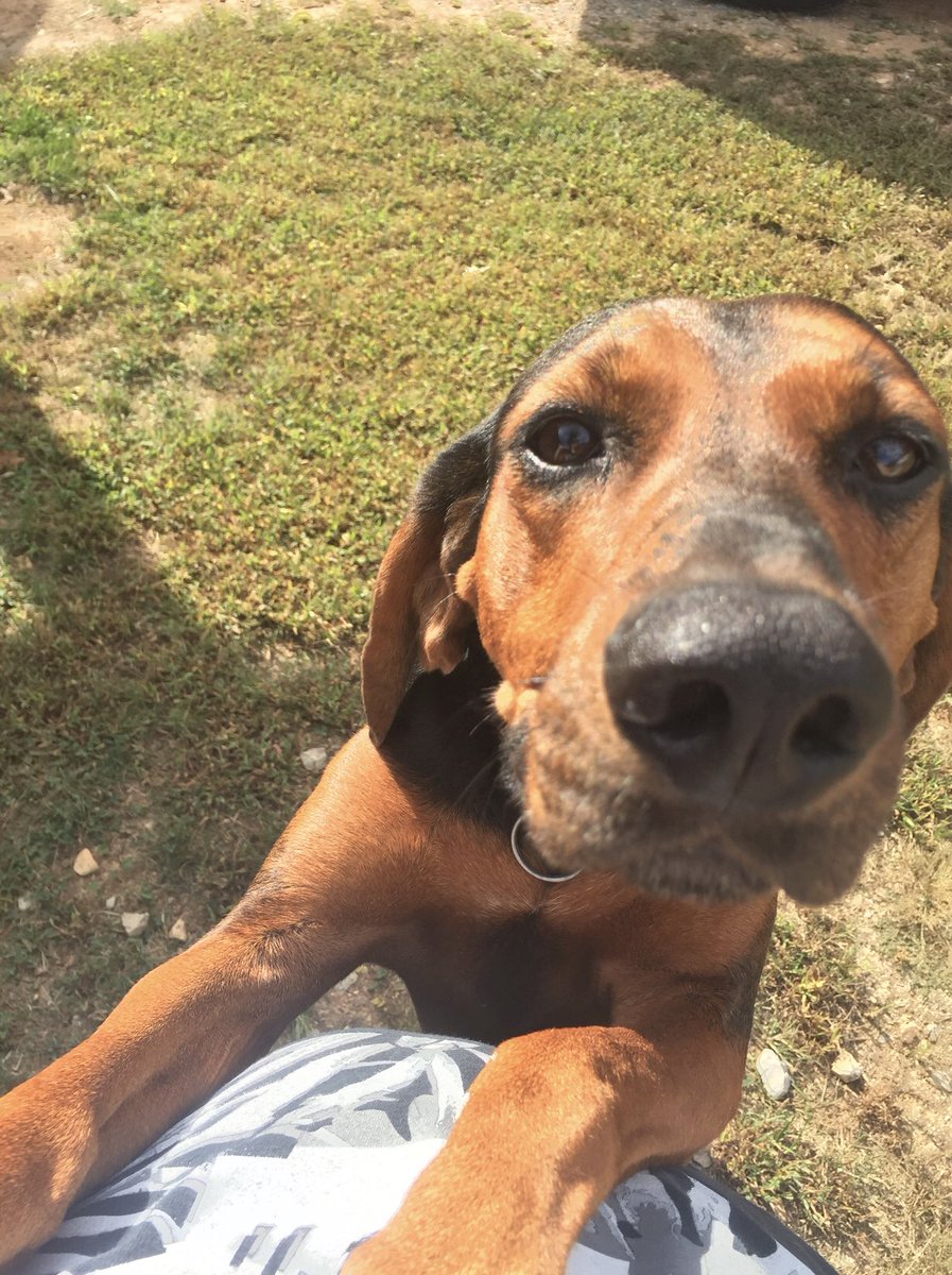 savstarrcar's tweet photo. Update: Found him!! (after 3 years) He left me and found himself a new home 🙃🙃🙃 https://t.co/eZv9F2LmXh