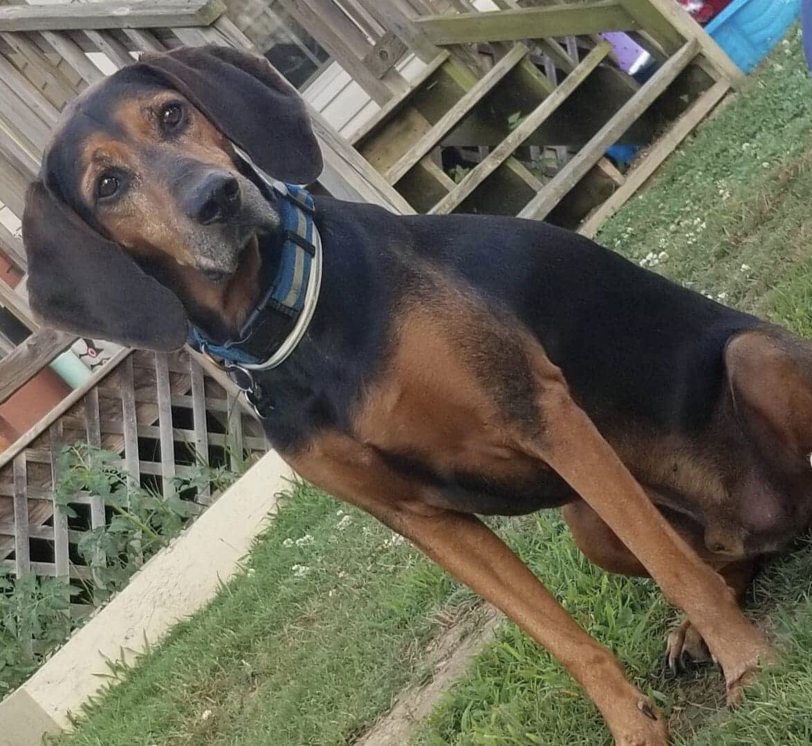savstarrcar's tweet photo. Update: Found him!! (after 3 years) He left me and found himself a new home 🙃🙃🙃 https://t.co/eZv9F2LmXh