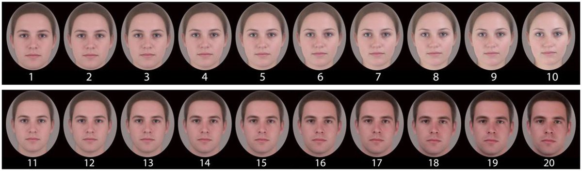 AnimBehav's tweet photo. In humans, implicit compromise (lowering preferred ideals) plays a greater role than explicit compromise (choosing a partner who falls short of their declared) in driving #assortativemating
@DrDaniS
Article: https://t.co/AuAOCT8NPF
#matechoice #animalbehaviour https://t.co/YQeOkNytw6