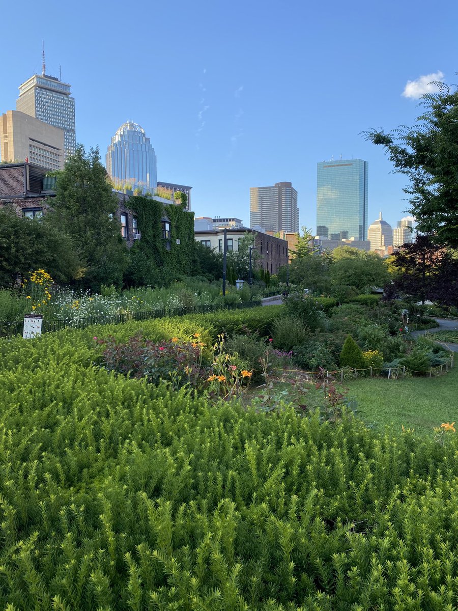 OppHealth's tweet photo. This little stretch of the #SWCorridor in Boston’s #SouthEnd has been my little nature retreat during #COVID times. Even behind a mask, even during a heatwave, it still feels good to get fresh air, see some green foliage, and smell the flowers. A true urban oasis! 🌻🌻🌻 https://t.co/ENPaPG7JKu
