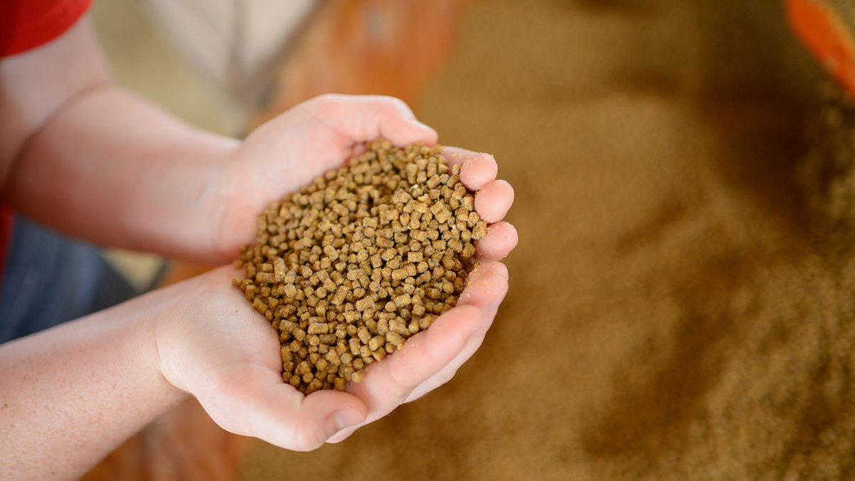 NC State College of Agriculture and Life Sciences tweet media