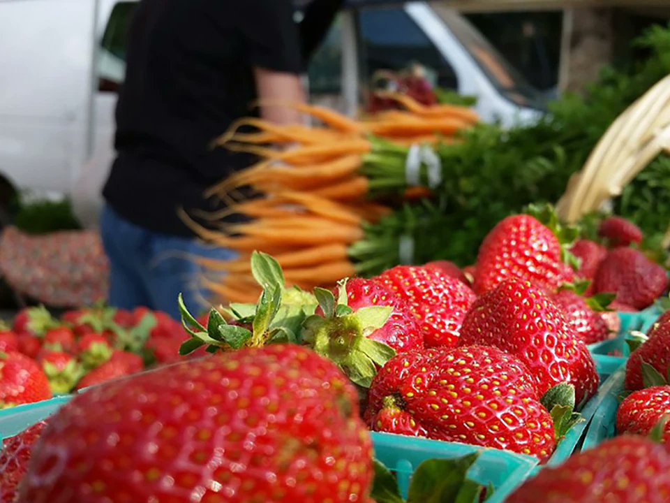 Oakland Eats: Tap runs dry for local craft brewery, farmers market returns with new operator, more hoodline.com/2020/07/oaklan… by @colazioneAroma