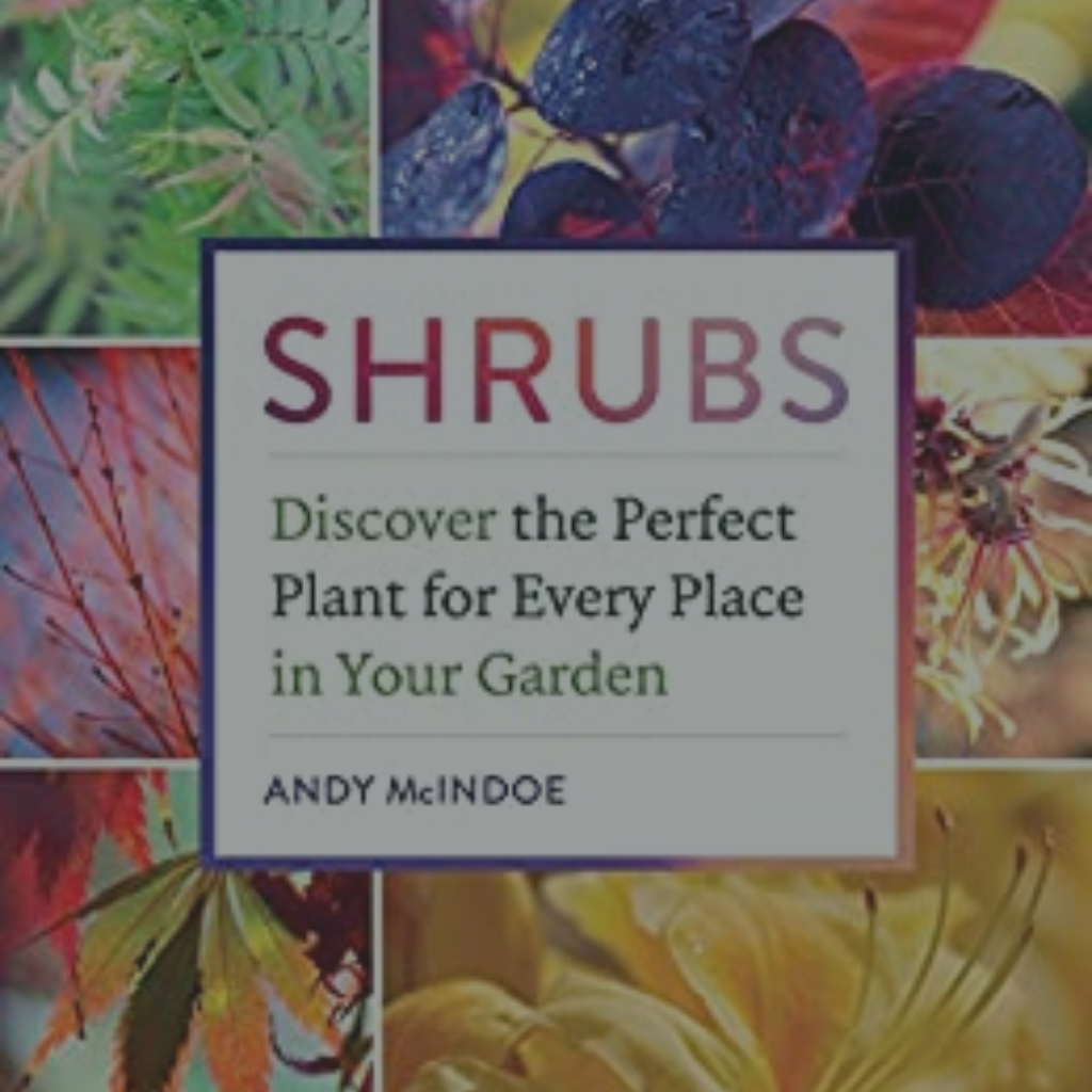 Today's Book Recommendation to Grow That Garden Library™:
Shrubs by Andy McIndoe