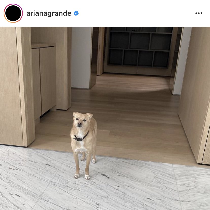 h0tt1e111's tweet photo. “ariana grande is one of the most followed people on instagram” https://t.co/45Wibnv0UO