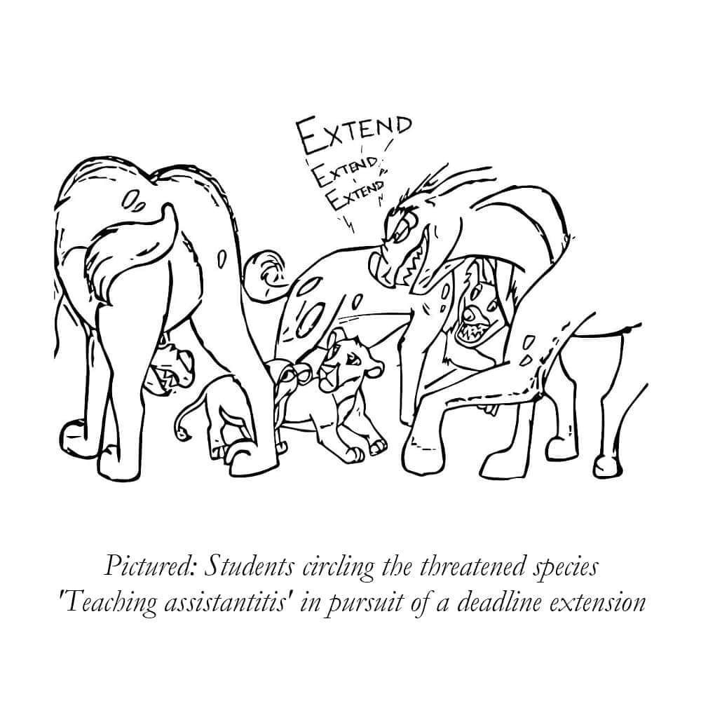 Ping! IIIT Hyderabad tweet media