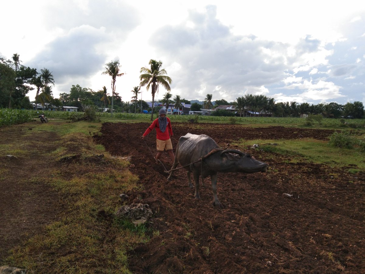 Farmers No Borders tweet media