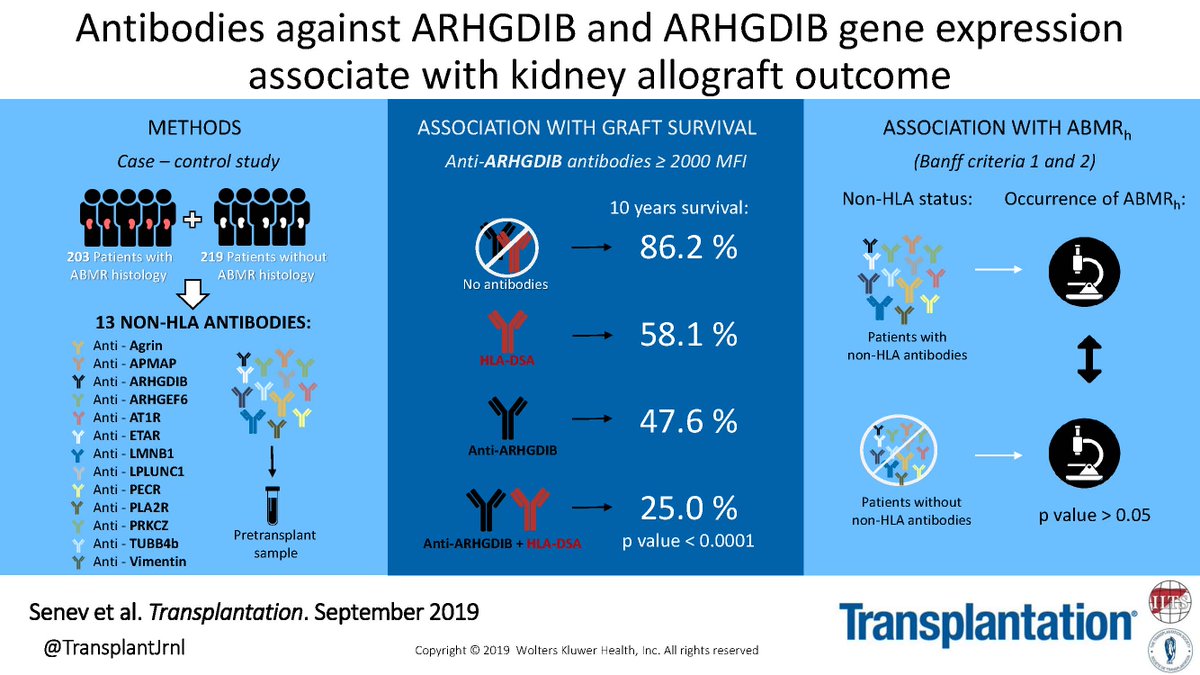 TransplantJrnl's tweet photo. Senev et al. investigated 13 pretransplant non-HLA antibodies and their association with histology of AMR (AMRh) and kidney allograft failure. #VisualAbstract https://t.co/IaYeS3qgzd https://t.co/6AhZJ6AWRa