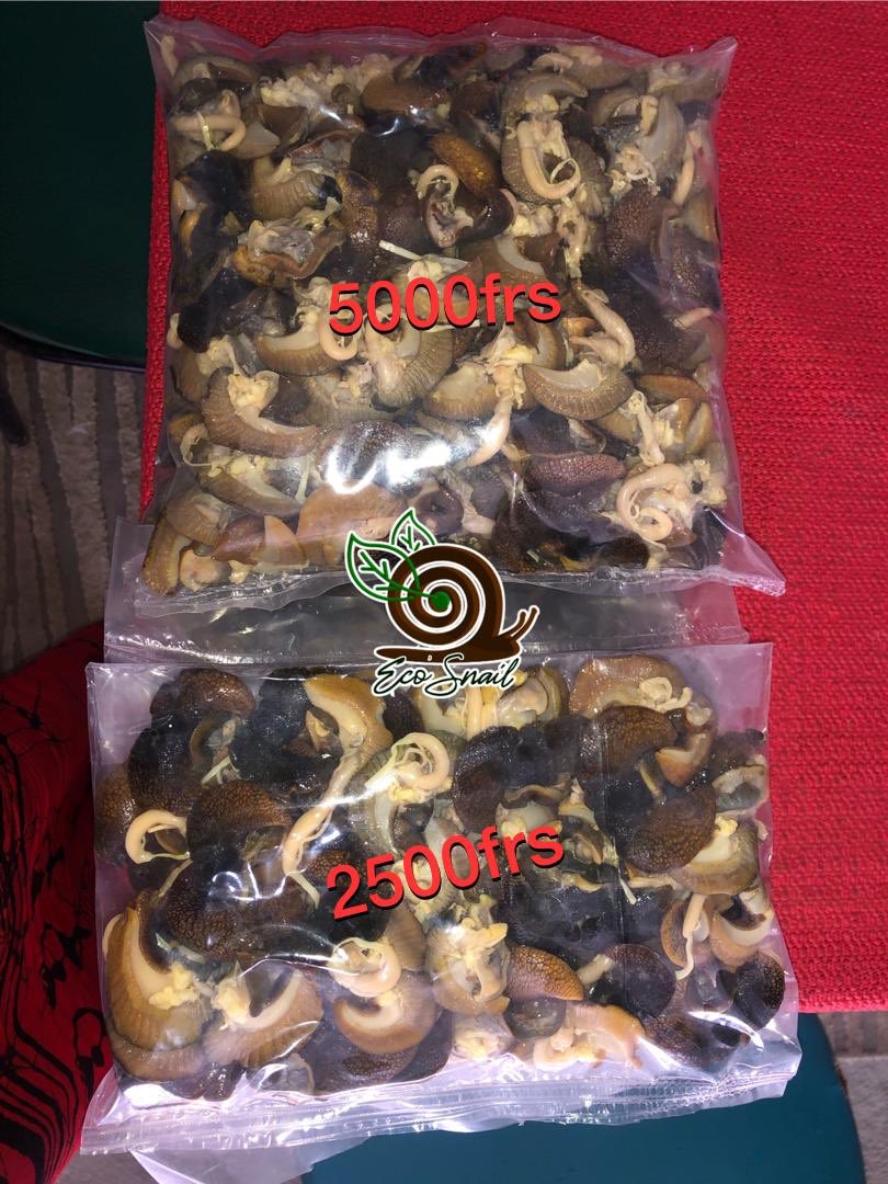 eco_snail's tweet photo. La rentabilité d’un élevage d’escargots est un fait https://t.co/X2VBcupS3Mîtriser la conservation des escargots présente 2avantages. Le 1er c’est la disponibilité des stocks.En particulier en saison sèche,période au cours de laquelle les escargots estivent. https://t.co/qpxUT2CJzM