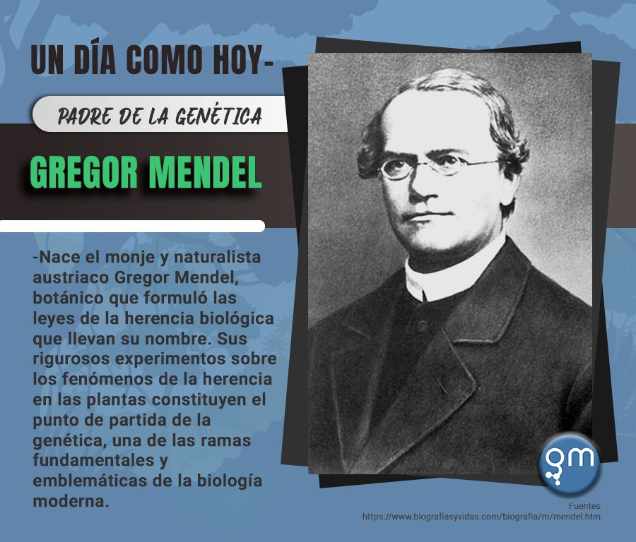 Actualizar 101+ imagen biografia de mendel padre de la genetica ...