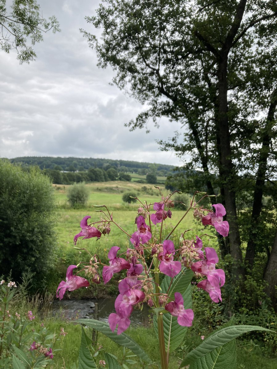 Meer impressies van Krijtlandpad tussen Noorbeek en Vaals (Slenaken/Epen/Wolfhaag/drielandenpunt). Genieten in de Limburgse heuvels <a href="/magnifiekZL/">Magnifiek Zuid-Limburg</a> schitterend!