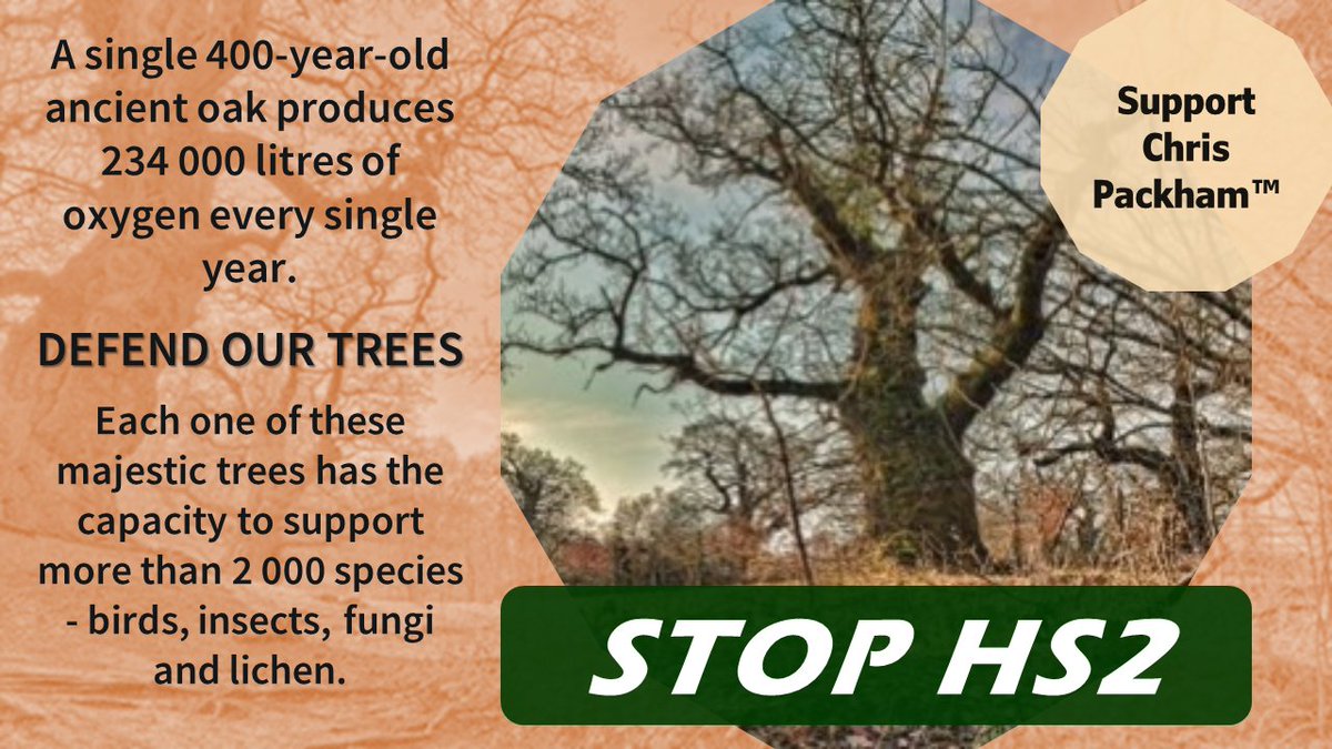 Melis72Cares's tweet photo. #DefendTrees #StopHS2 @NetsNot https://t.co/MjZW8esi6i